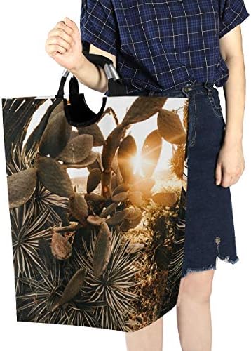 YYYJIA Kaktüs Bitki Güneş Işığı Büyük Çamaşır Sepeti Kolları ile, Katlanabilir Kumaş-Taşınabilir Kirli kıyafet sepeti Oyuncak