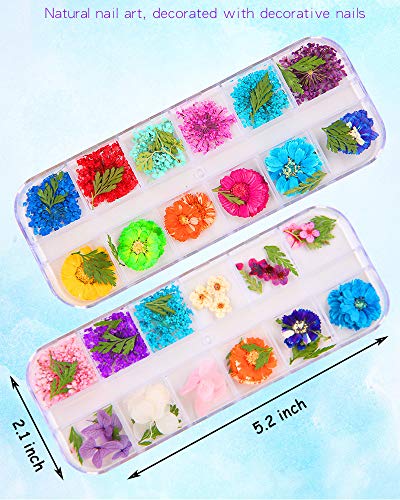 3D Kurutulmuş Çiçekler Tırnak Sanat Tasarımları için 24 Renk Tırnak Sanat Kaynağı Çiçekler Gerçek Kuru Çiçek Aplike Çıkartmalar