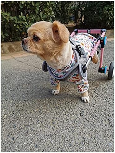 FMOGG Küçük Köpek Tekerlekli Sandalye için Arka Bacaklar, yürüyüş Tekerlekli Arabası Pet Tekerlekli Sandalye için Engelli Arka