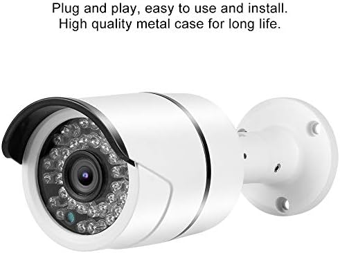 Açık Güvenlik Kamerası Güvenlik Kamerası, IP66 Su Geçirmez DVR Güvenliği (720P NTSC formatı)