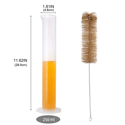 250 ml Plastik Mezun Silindir Beher Bilim Mezun Silindir Ölçme ile Fırça (250 ml)