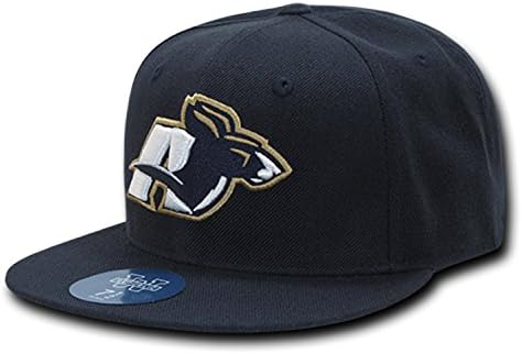 Akron Üniversitesi UA Fermuarlar UAKRON NCAA Gömme Düz Fatura Beyzbol Şapkası Şapka