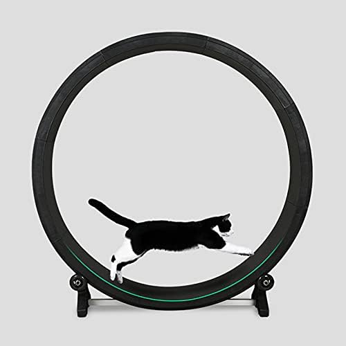 YZILXY Kedi Koşu Bandı Pet Kedi Tırmanma Çerçeve, Kedi Egzersiz Tekerlek Pet Koşu Makinesi Sessiz Kedi Koşu Bandı, kedi Spor