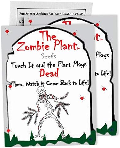 Zombie Plant Seed Packets (2) - Dokunduğunuzda Ölü Oynayan Bu Eşsiz Duyusal Bitkiyi Büyütün!) Dakika sonra Yaşama Geri döndü.