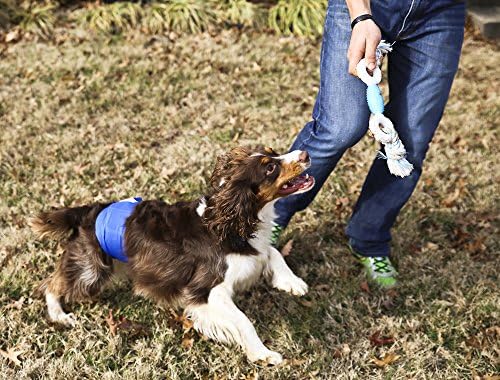 Pet Ebeveynler Premium Yıkanabilir Köpek Göbek Bantları (3 paket) Erkek Köpek Bezi, Köpek İşaretleme Erkek Köpek Sarar, Erkek