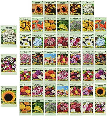 50 Çeşitli Çiçek Tohumu Paketi Seti! Toplu Olarak Çiçek Tohumları-10 Çeşit Mevcut!