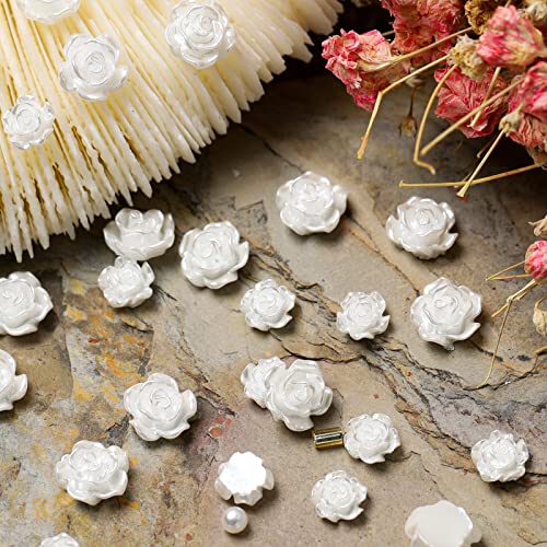 1 Kutu 3D Akrilik Beyaz Gül Çiçekler İçin Çivi, Reçine 3D Çiçek Nail Art Dekorasyon Aksesuarları Kiti Glitter Tırnak Rhinestones