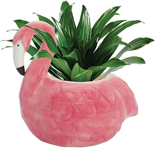 Düzene Seramik Flamingo Ekici Pot