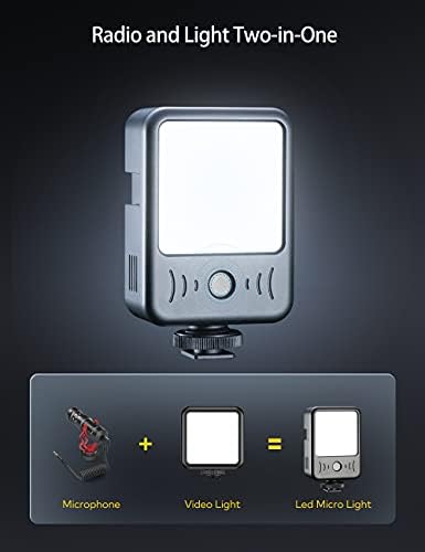 RALENO LED Video ışık, dahili Mikrofon Kayıt ve aydınlatma 2 in 1 kamera ışık, 6500 K şarj edilebilir 2000 mAh pil Tak & Çalıştır