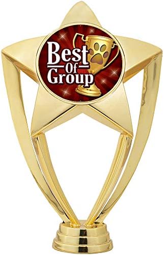 Taç Ödülleri Özelleştirilmiş Pet Show Trophy-6 Altın Yıldız En İyi Grup Kupaları Prime